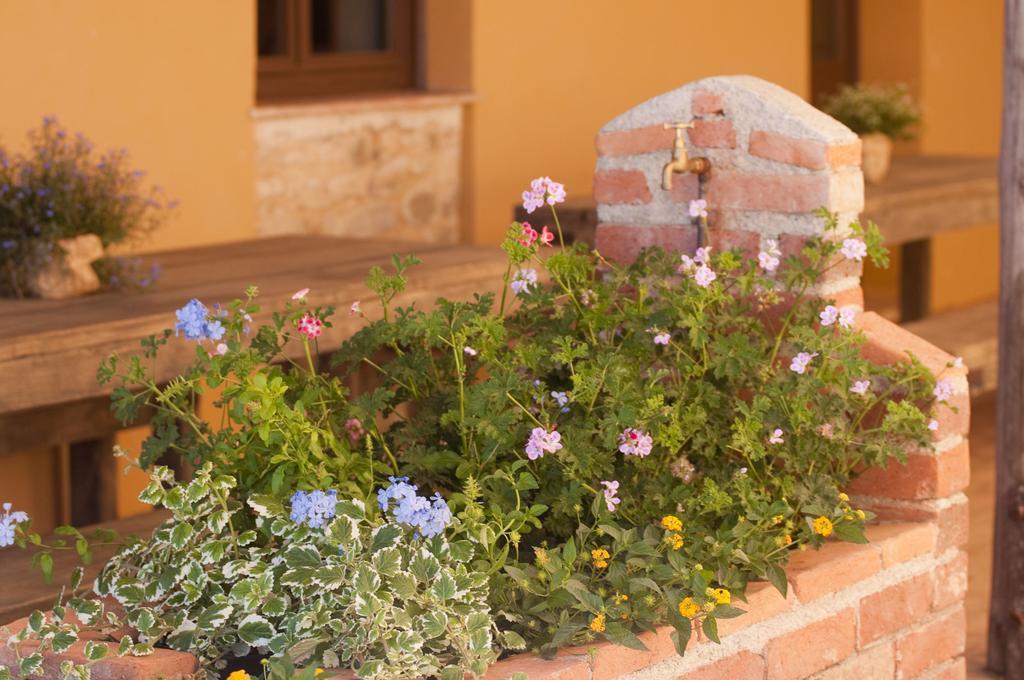 Residence Casone Ugolino Donoratico Exterior foto